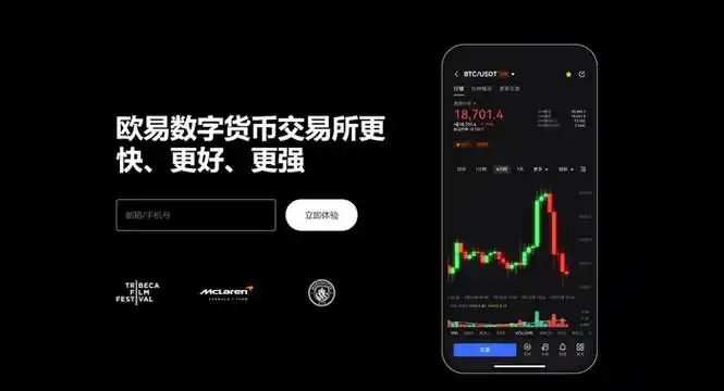殴易交易所下载页面展示